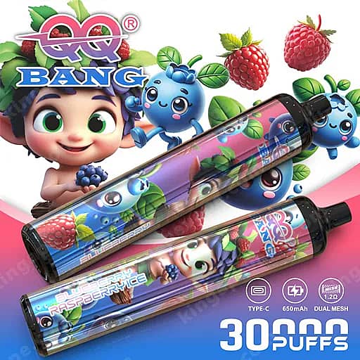 Zwei bunte Einweg-Vape-Pens mit Cartoon-Figuren und Beeren-Motiven (Himbeeren und Blaubeeren), diagonal angeordnet, mit auffälligen Etiketten '30.000 Puffs' und 'Type-C 650Mah Dual Mesh'.